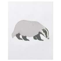 honey badger full colour flyer