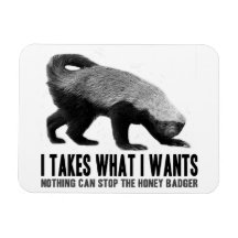 Honey Badger - I Takes What I Wants Rectangle Magnets