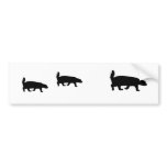 honey badgers bumper sticker