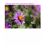 Honey bee and autumns asters... t-shirts