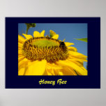 Honey Bee art print Sunflower Garden Canvas art