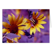 Honey Bee Cards