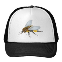 Honey Bee Hat