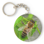Honey Bee Key Chain