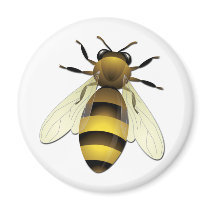 Honey Bee Fridge Magnets