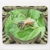 Honey Bee ~ Mousepad