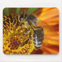 Honey Bee Mousepads