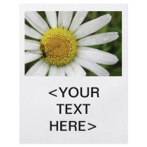 Honey Bee on a Daisy
