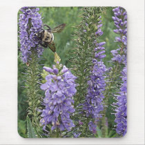 Honey Bee on Purple Flower 2 Mousepad