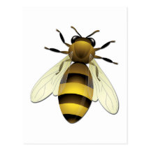 Honey Bee Post Cards