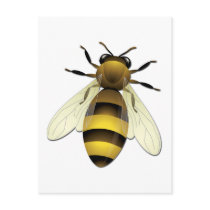 Honey Bee Post Cards