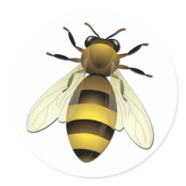 Honey Bee Stickers