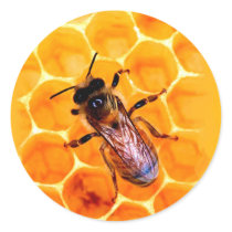 Honey bee round stickers