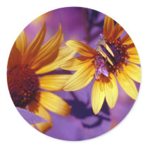 Honey Bee Stickers