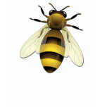 Honey Bee t-shirts