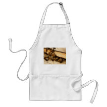 Honey Bees Aprons
