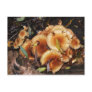 Honey Fungus Armillaria Mellea Postcard