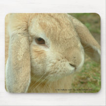 Honey,  Lop-eared Rabbit Mouse Mat