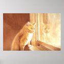Honey the Kitten Canvas Print