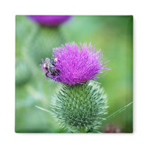 Honeybee and Thistle Magnet