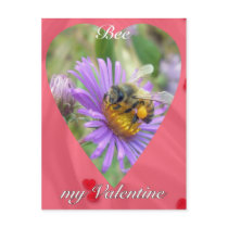 Honeybee on Fall Asters Valentine Post Card