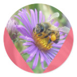 Honeybee on Fall Asters Valentine Round Stickers