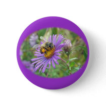 Honeybee on Fall Asters Wildflower Series Buttons