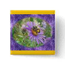 Honeybee on Fall Asters Wildflower Series Button