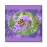 Honeybee on Fall Asters Wildflower Series magnets