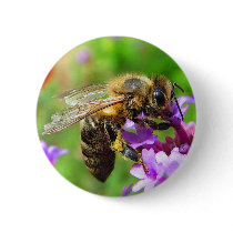 Honeybee on Verbena