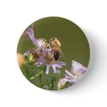 Honeybee on Wild Asters Pinback Button
