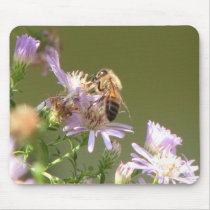 Honeybee on Wild Asters Mousepads