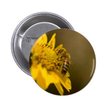 Honeybee on Yellow Flower Buttons
