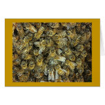 Honeybee Swarm cards