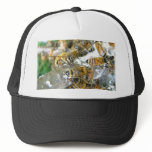Honeybees hats
