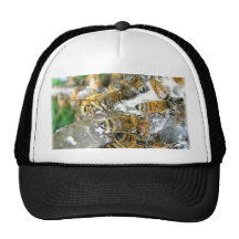 Honeybees Trucker Hat