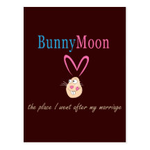 Honeymoon Rabbit Postcard