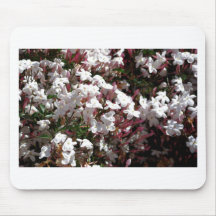 Honeysuckle Mouse Pads