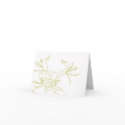 HONEYSUCKLE Notecard