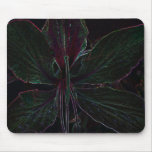Hong Kong Orchid Tree flower mouse pad mousepads