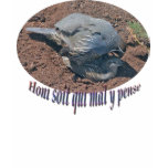 Honi soit... t-shirts