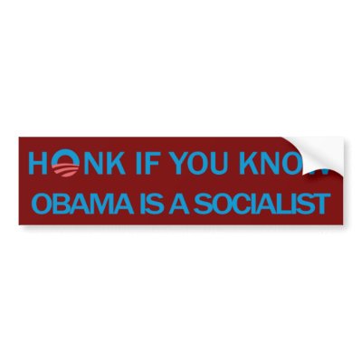 Honk Anti Obama Bumper Sticker by politicgear