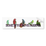 Honk if you love parrots