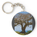 honor in harmony keychains