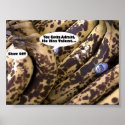 Honorable Mention Award bananaLisa posters