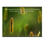 Honour thy father and thy mother: that thy days ma post cards