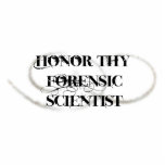 Honour Thy Forensic Scientist photo sculptures