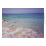 Honu at  La a'Loa Beach cards