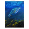 Honu Lau'i Pala cards