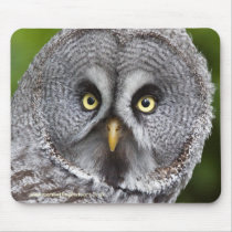 Hoo are You? Mousemat